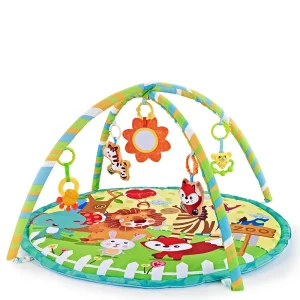 Multifunctional Learning Round Mat
