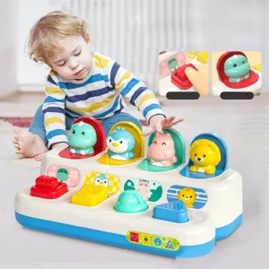 Pop Up Sensory Toy for Babies